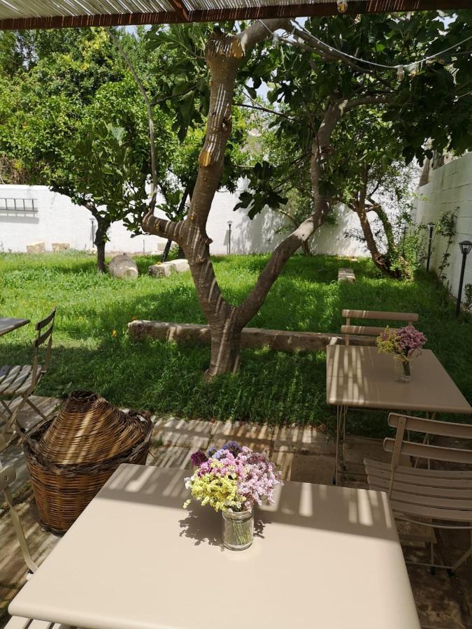 Casa Frea Dimora Storica Bed & Breakfast มาร์ตาโน ภายนอก รูปภาพ